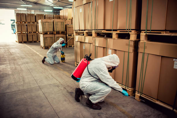 Best Emergency Pest Control  in Hickory Creek, TX