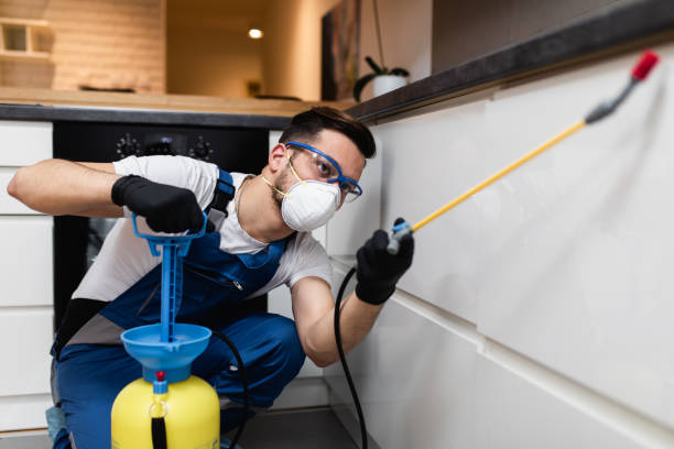 Best Best Pest Control Companies  in Hickory Creek, TX