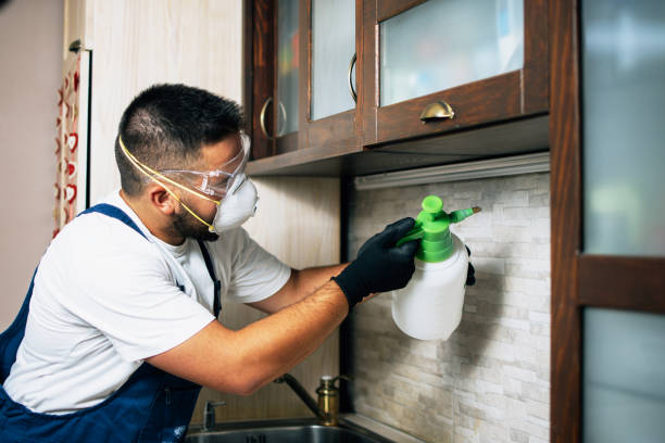 Best Termite Control Services  in Hickory Creek, TX