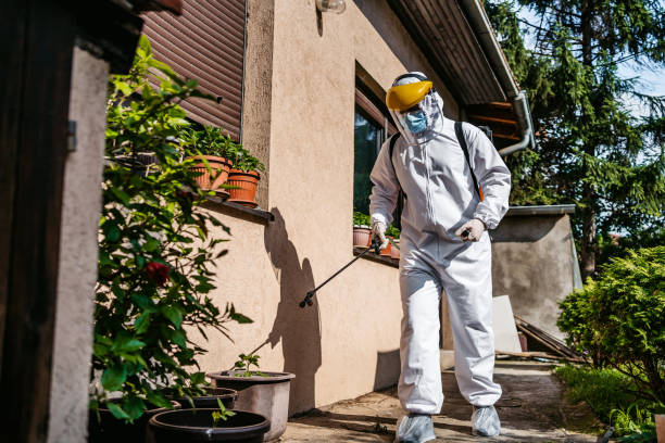 Best Local Pest Control Services  in Hickory Creek, TX