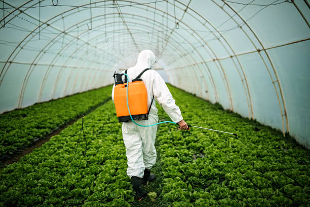 Professional Pest Control in Hickory Creek, TX