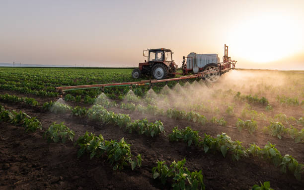 Best Mosquito Control Services  in Hickory Creek, TX