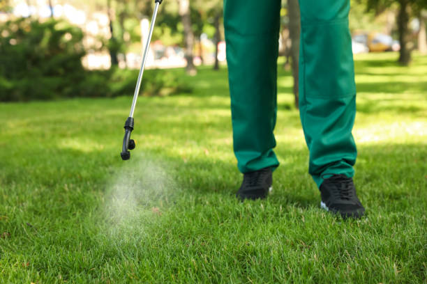 Best Affordable Pest Control Services  in Hickory Creek, TX