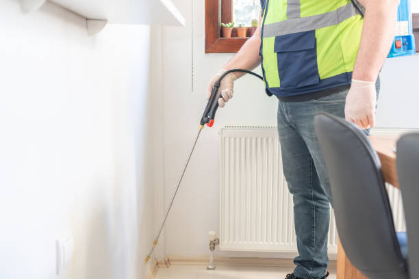 Best Wasp Removal Services  in Hickory Creek, TX