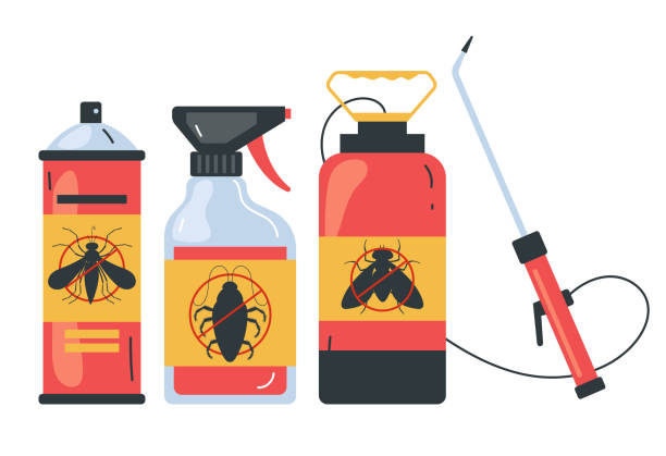 Best Pest Control Near Me  in Hickory Creek, TX