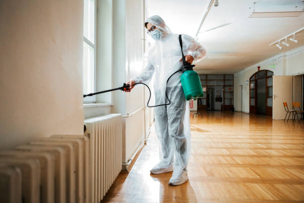Best Affordable Pest Control Services  in Hickory Creek, TX