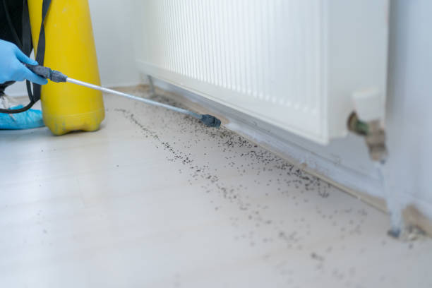 Best Commercial Pest Control Services  in Hickory Creek, TX